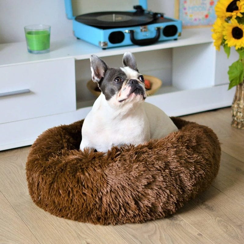Dog Bed – Soft Faux Fur in Neutral Shades for a Soothing Sleeping Place for Small Dogs or Cats