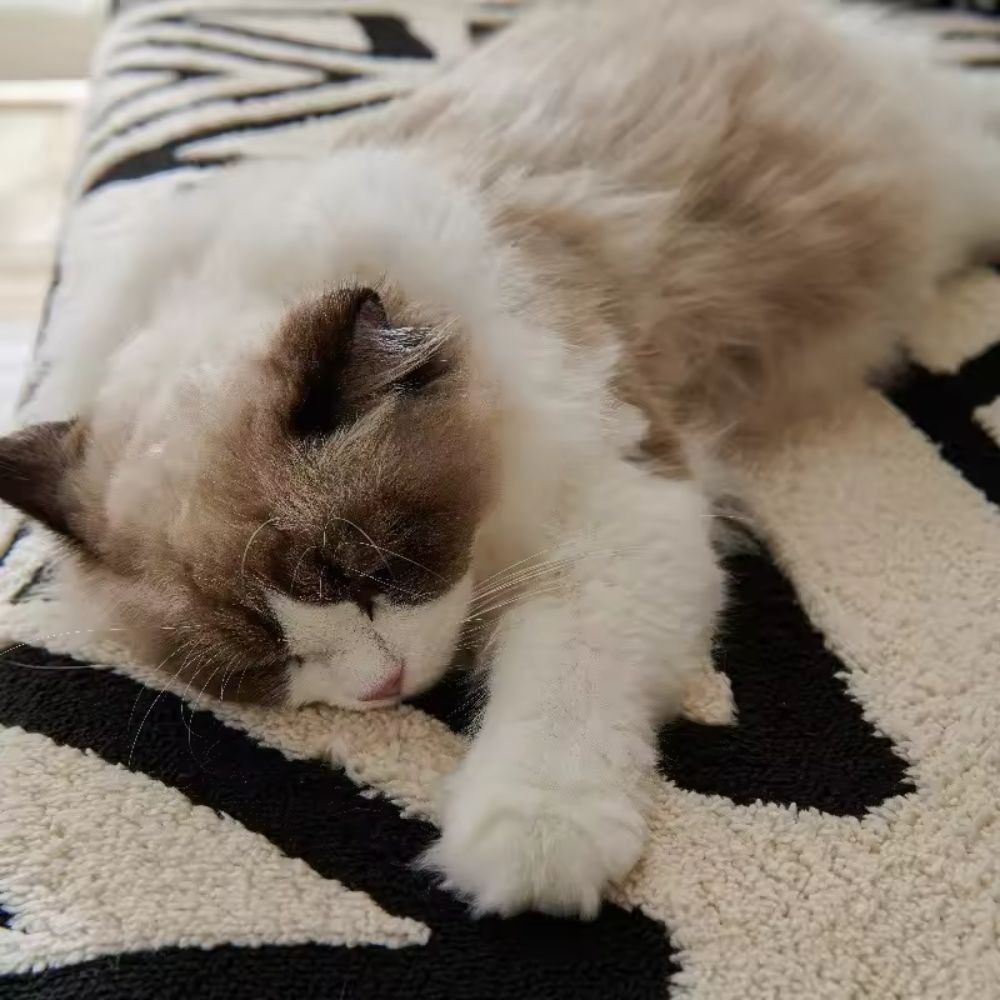 Soft Microfiber Sofa Cushions – Gray, Modern Maze Pattern for Living Rooms or Family Areas