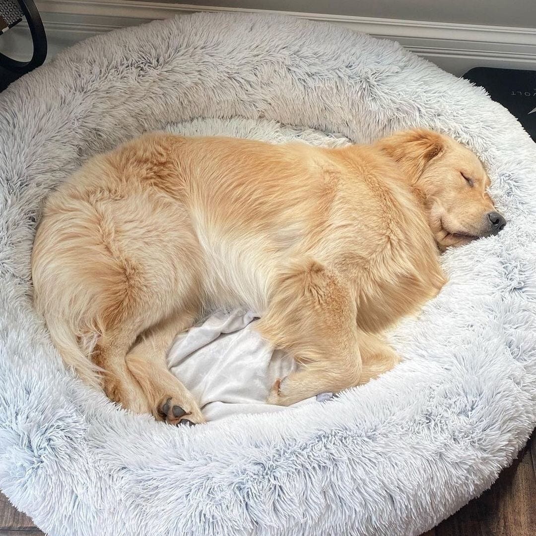 Dog Bed – Soft Faux Fur in Neutral Shades for a Soothing Sleeping Place for Small Dogs or Cats