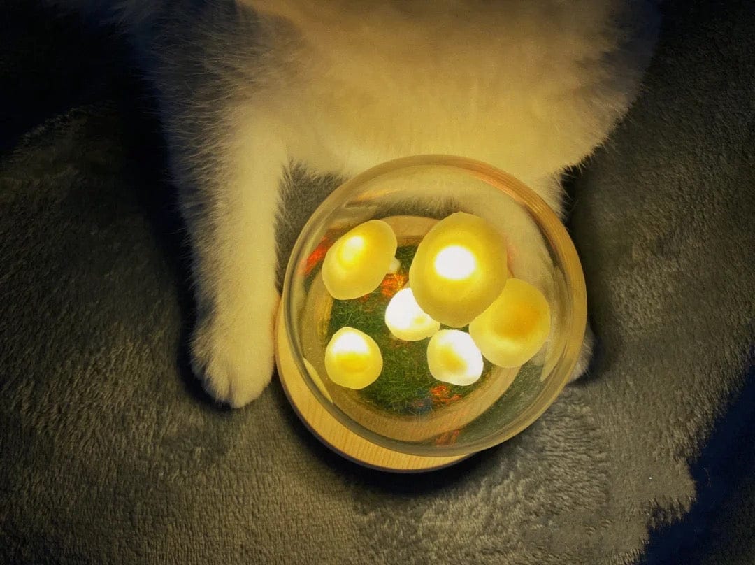 DIY Mushroom Lamp – Glass and Wood, Creative Table Decoration for the Living Room or Bedroom