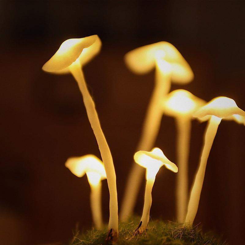DIY Mushroom Lamp – Glass and Wood, Creative Table Decoration for the Living Room or Bedroom