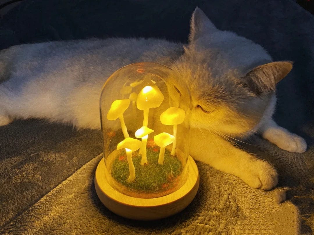 DIY Mushroom Lamp – Glass and Wood, Creative Table Decoration for the Living Room or Bedroom