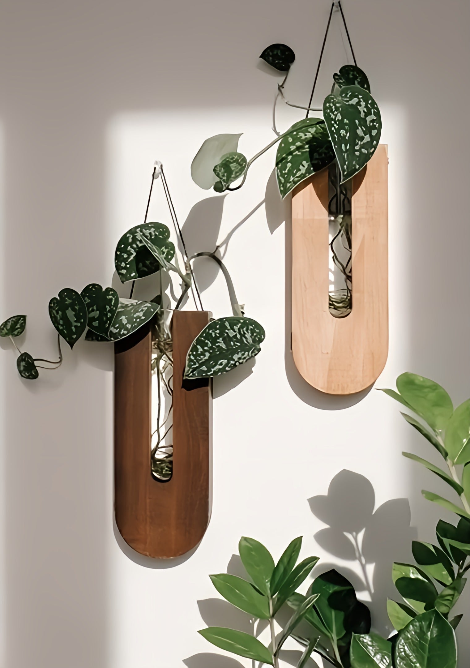 Rustic plant holders – 7-piece set in natural wood for plant boxes in modern or bohemian interiors